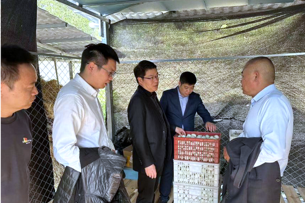 1667545818129551.png 图片2.png